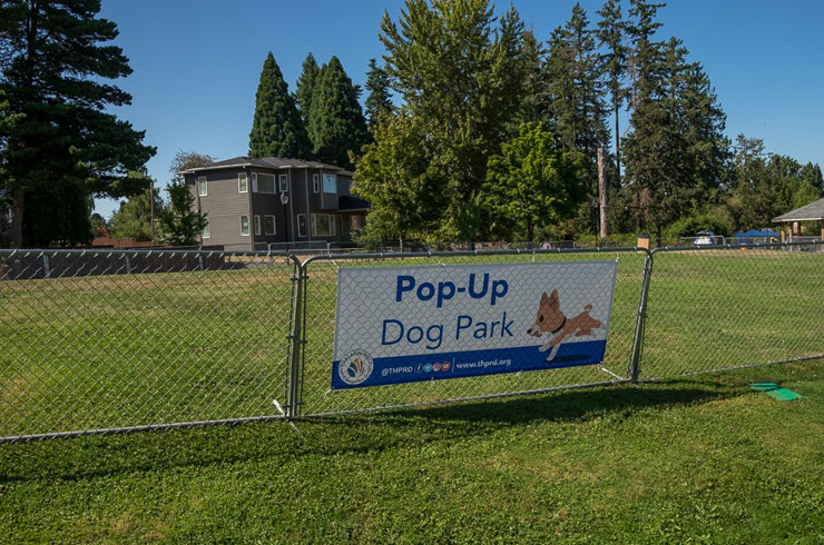 Pop-up Dog Park