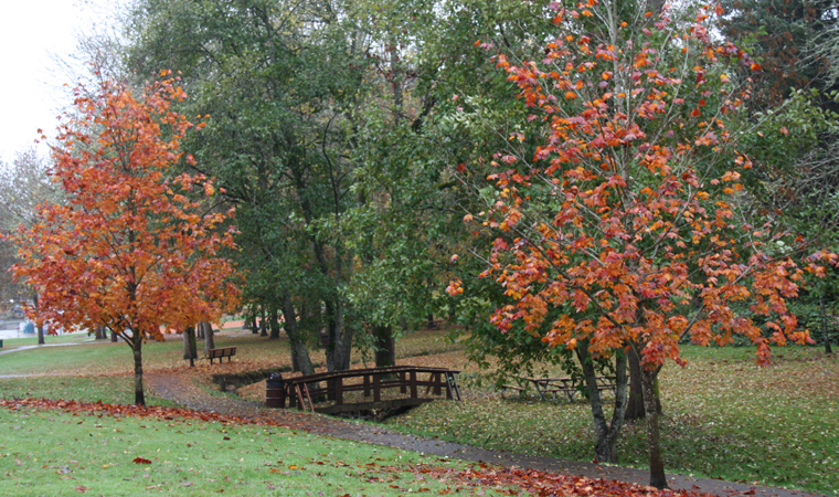 A Plan for Raleigh Park - 5/23: attend our open house