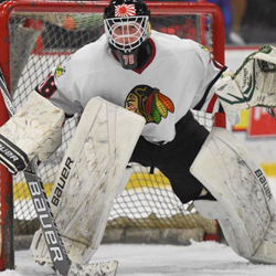 THPRD, Winterhawks discussing proposed ice rink facility