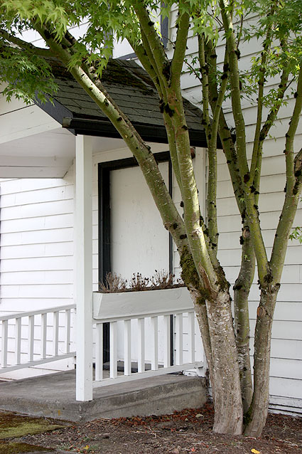 JQAY House