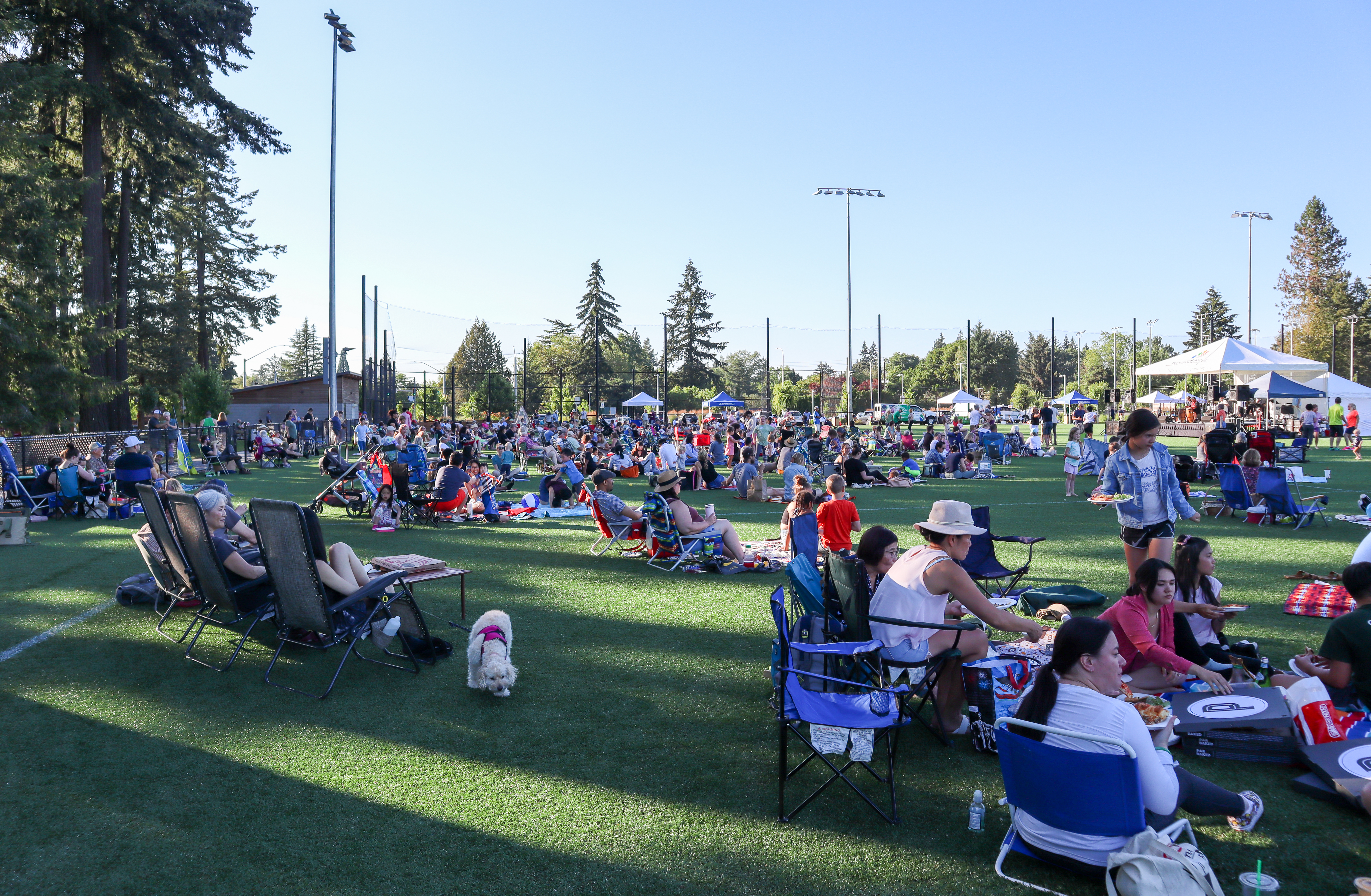 Concert in the Park