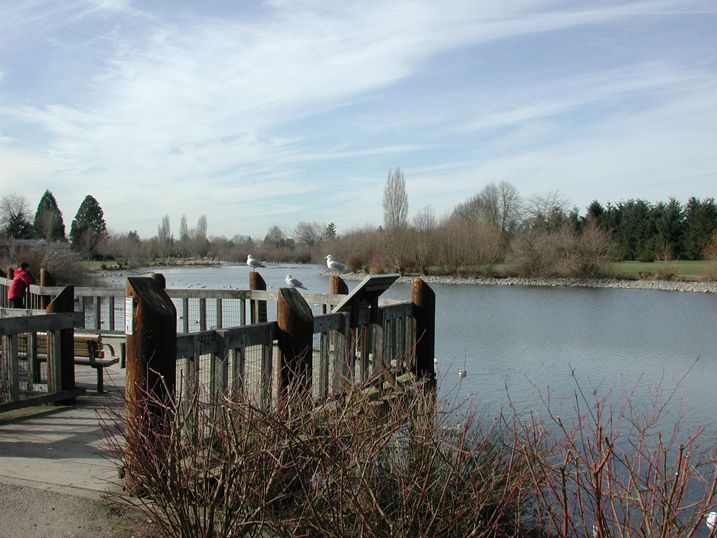 Progress Lake Park Beaverton Oregon