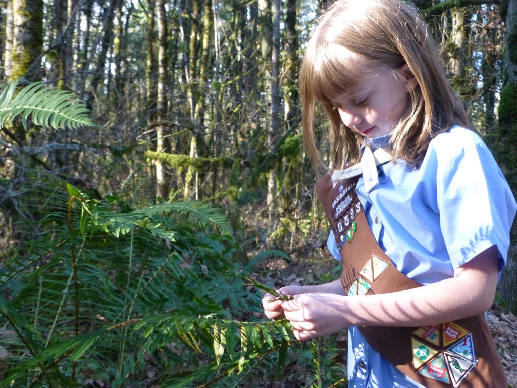 THPRD's Nature & Trails Department offers a variety of interactive environmental education programs and events for scouts to get involved in.