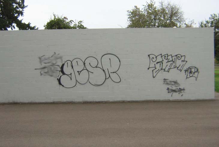 Hazeldale Park court closure