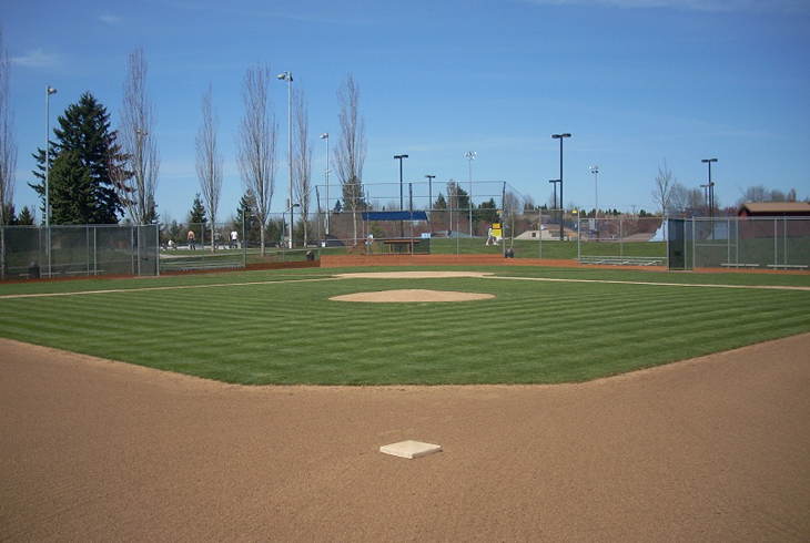 Feedback sought on Athletic Facilities functional plan