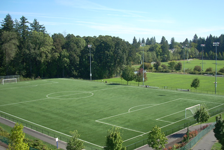 Synthetic turf replacement set for HMT field 2