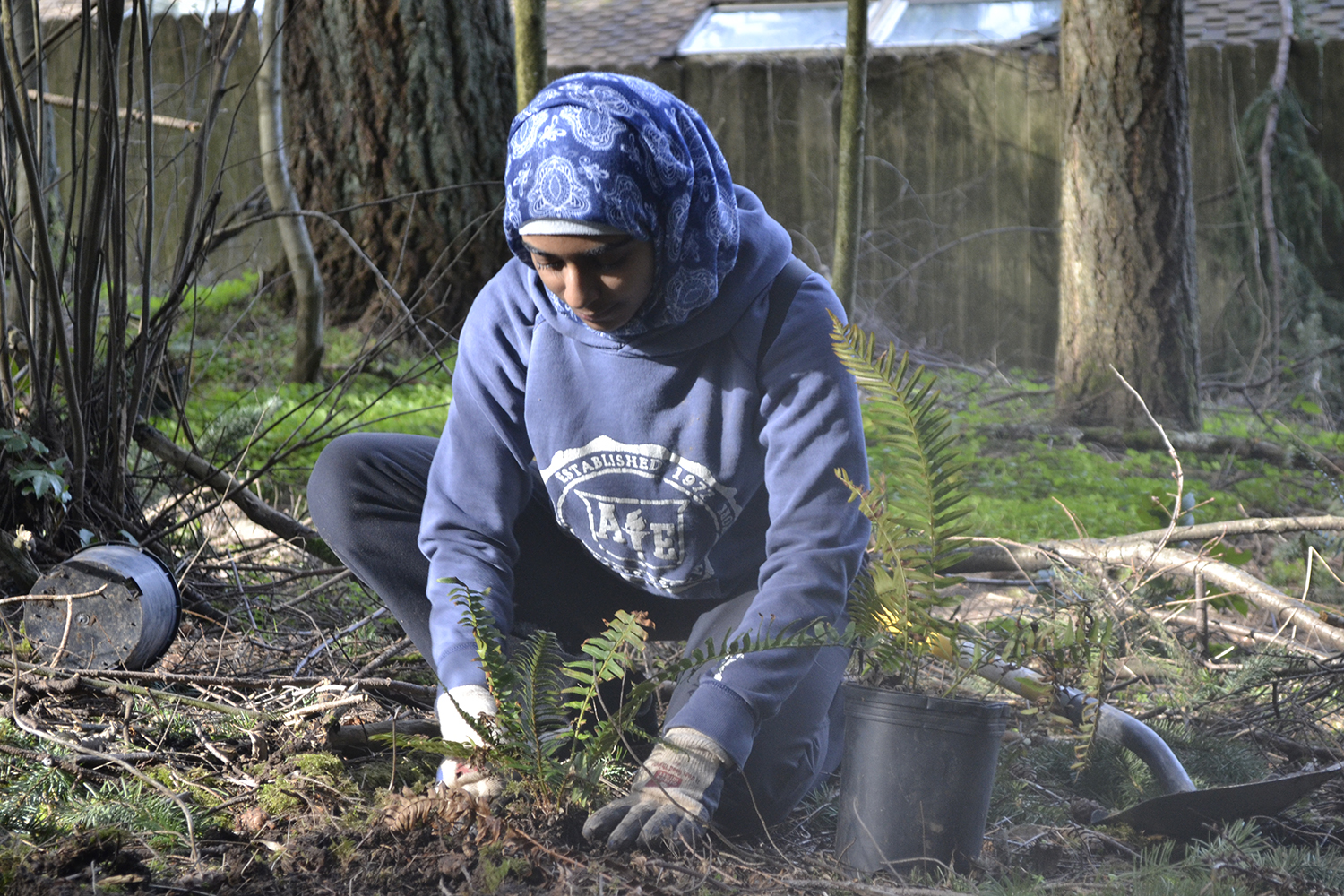 THPRD volunteers support short-term nature projects in record numbers