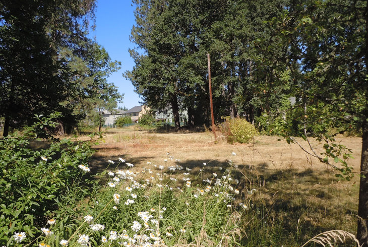 Here's a look at the site of a future neighborhood park in Aloha. Public outreach is underway to inform the master plan.