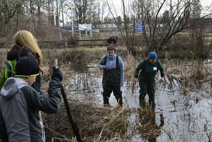 THPRD volunteers are trained to identify and count egg masses that help Park Rangers track frog and turtle populations.