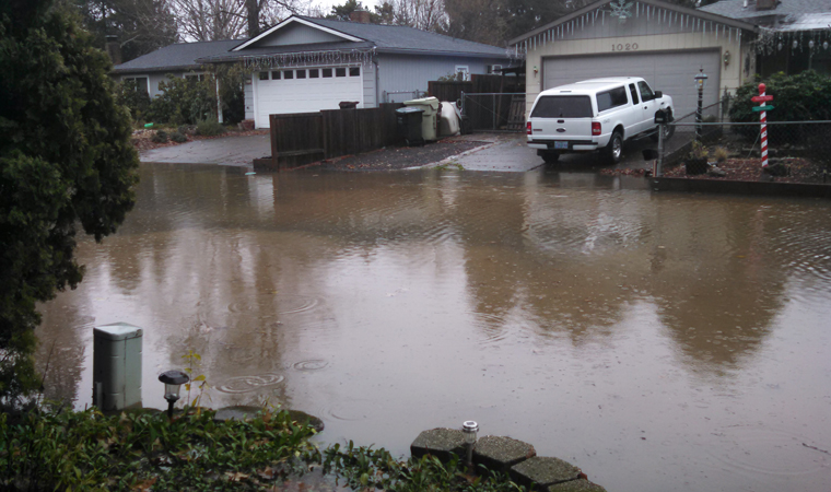 Learn more about flood remediation efforts for the Cedar Mill Creek/North Johnson Creek area.