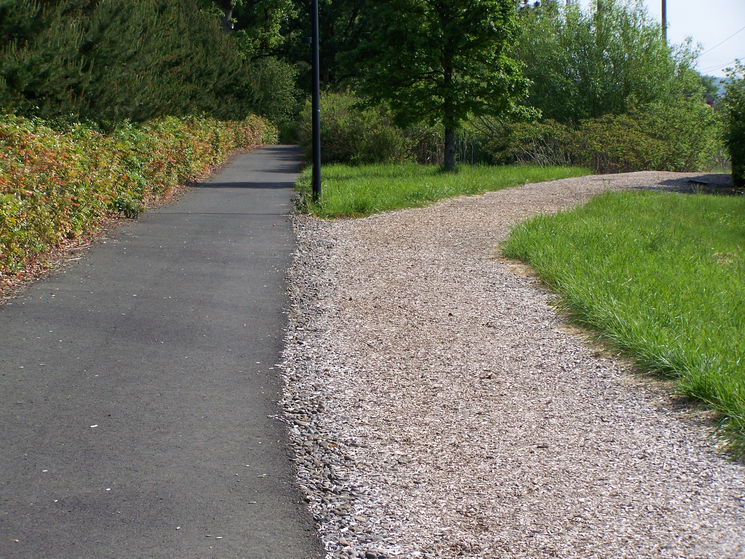 Community Meeting for New Trail at Sexton Mountain Drive