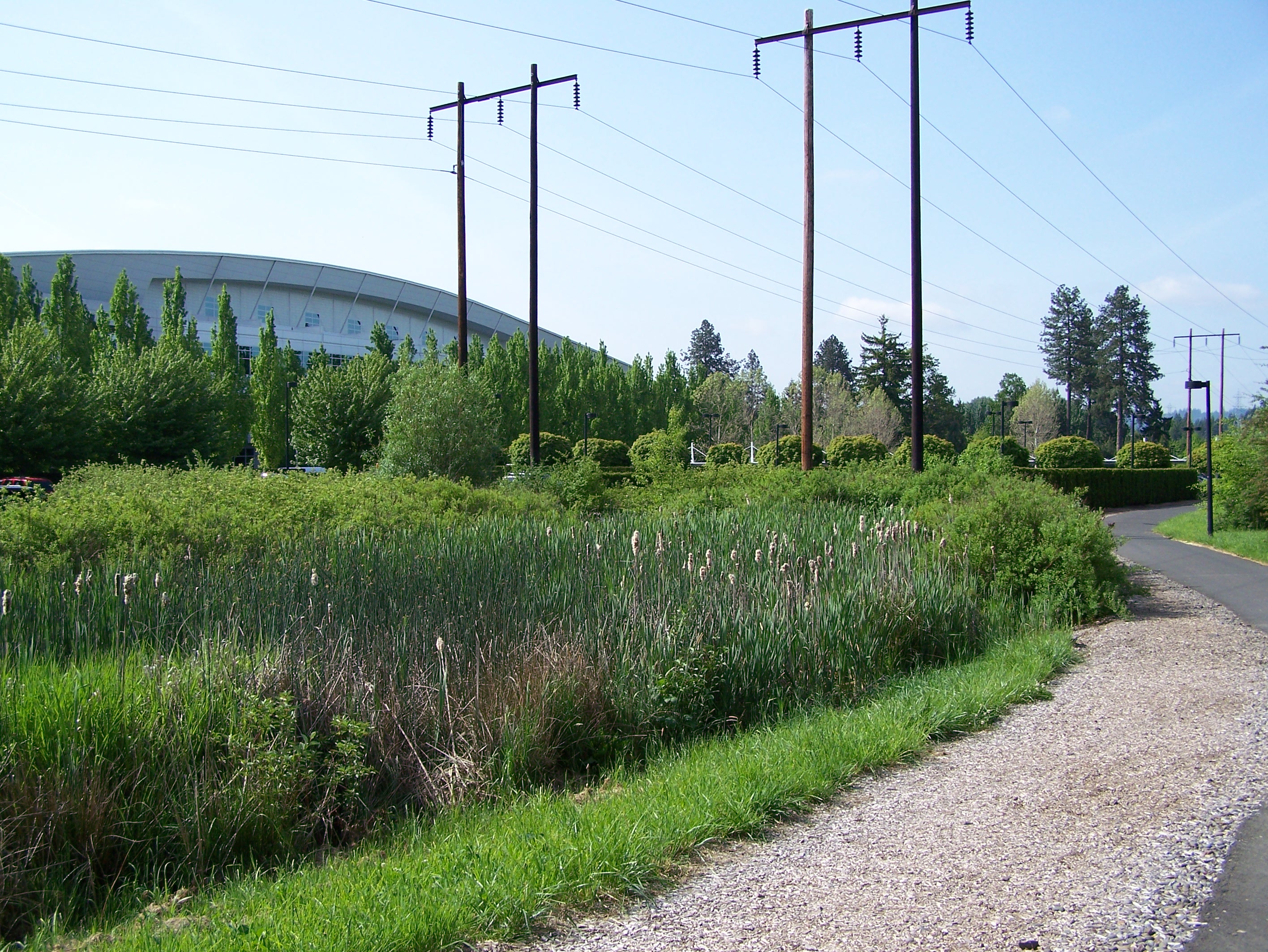 Community input helps shape the Westside Trail Bridge Study