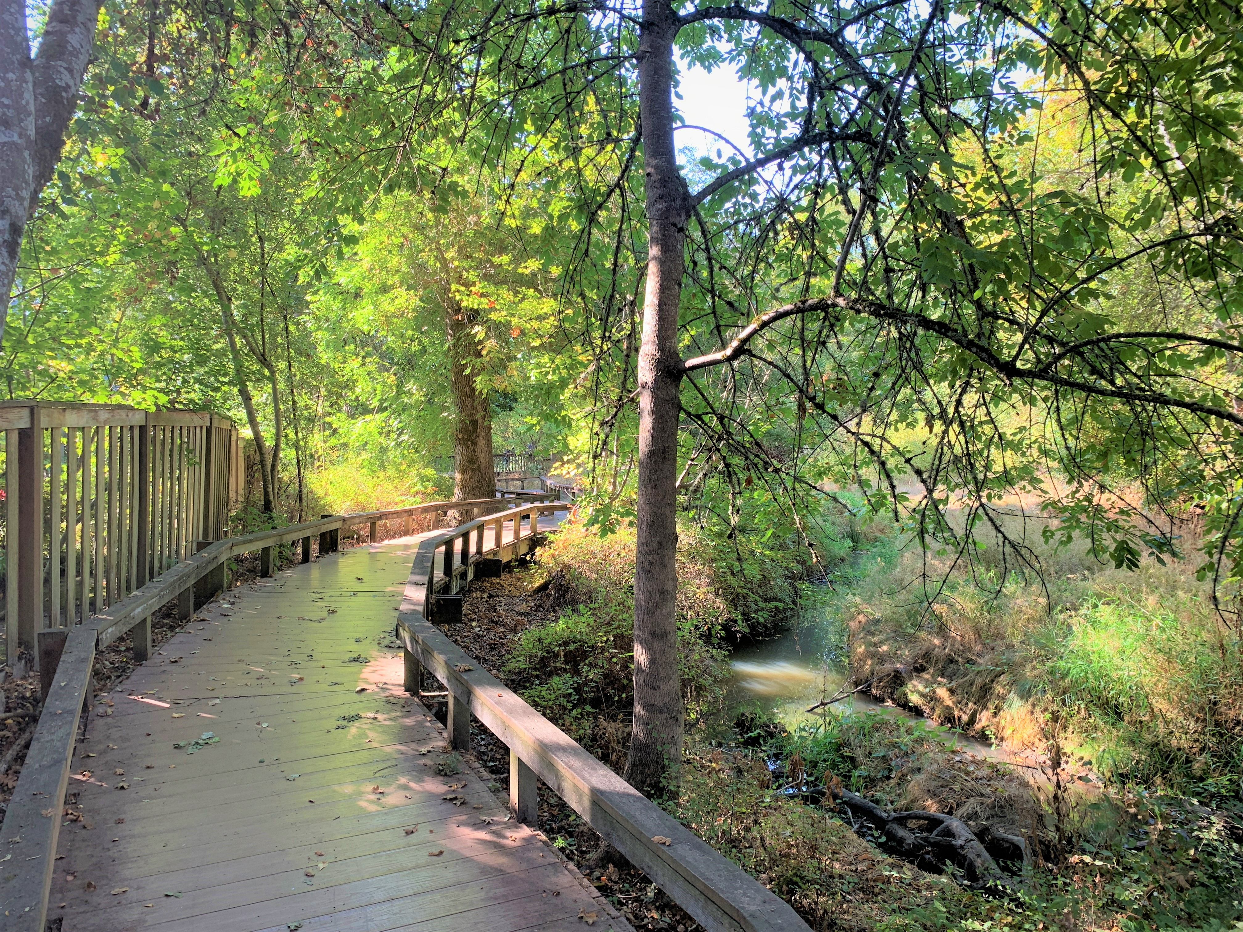 Boardwalk at Willow Creek Greenway