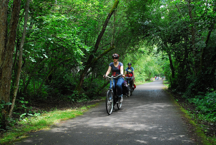 The Fanno Creek Trail is one of THPRD's most used trail systems, serving people interested in recreation, nature exploring or a non-motorized transportation corridor.